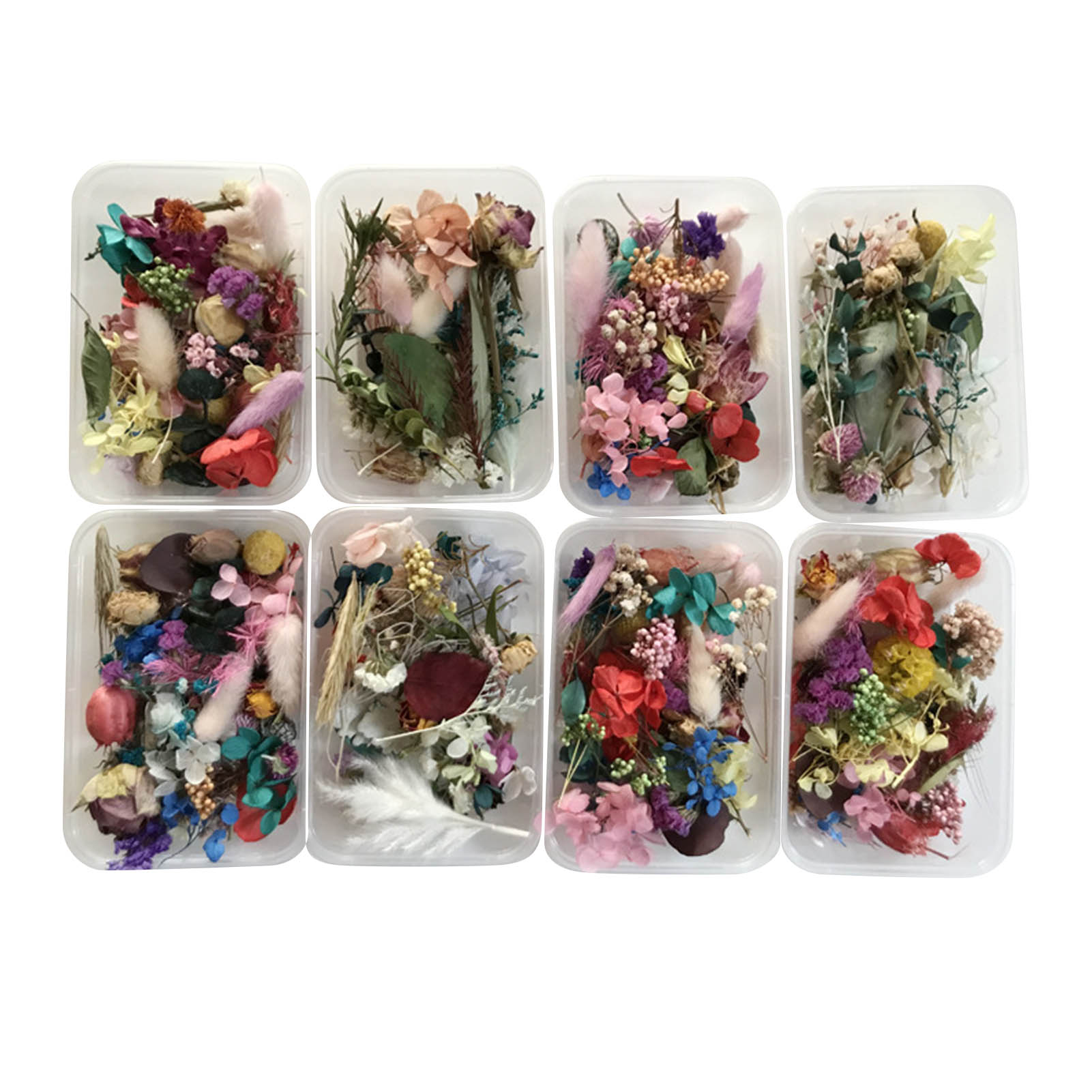 Dried Herbs - Набор натуральных сушеных цветов, прессованные искусства,