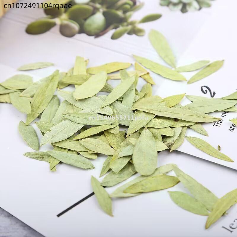 Премиальные органические листь – обзор и цена Dried Herbs